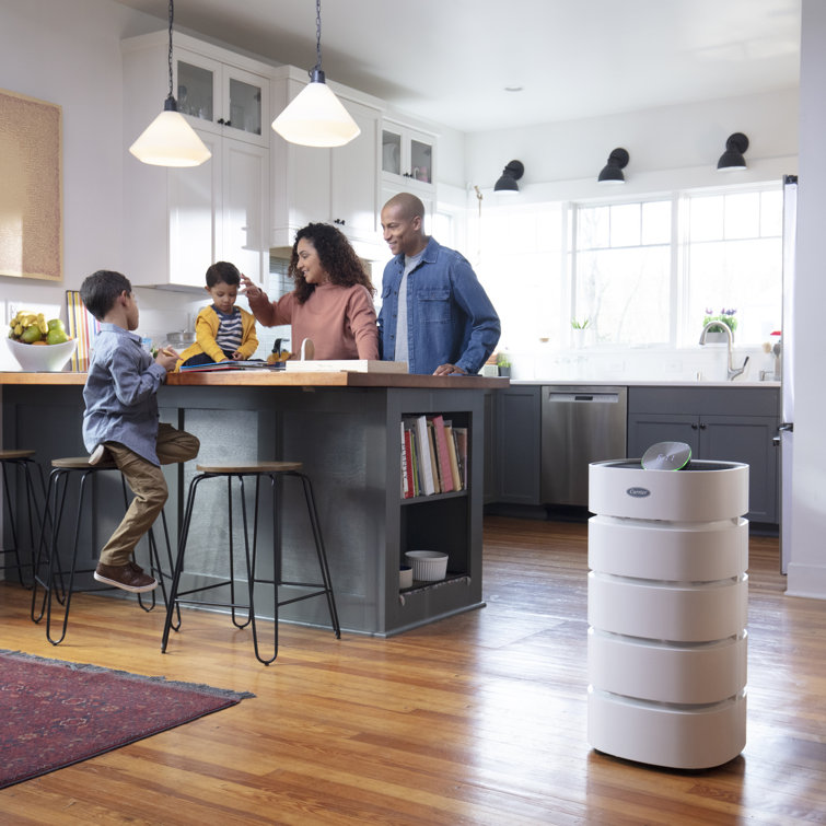 Commercial room deals air purifier